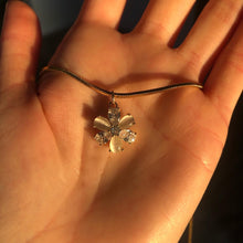 Load image into Gallery viewer, BELLE