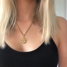 Load image into Gallery viewer, SOL