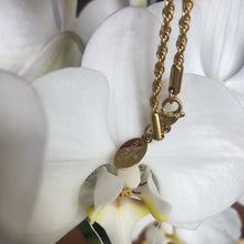 Load image into Gallery viewer, LERNA