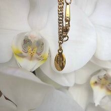 Load image into Gallery viewer, SOL