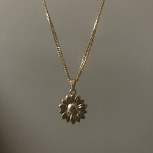 Load image into Gallery viewer, SOL