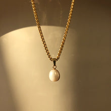 Load image into Gallery viewer, VENUS