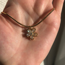 Load image into Gallery viewer, CAMELIA