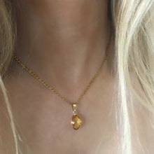 Load image into Gallery viewer, AMBER