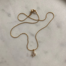 Load image into Gallery viewer, IRIS