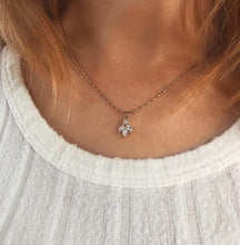 Load image into Gallery viewer, IRIS